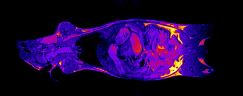 Nuclear Magnetic Resonance (NMR)